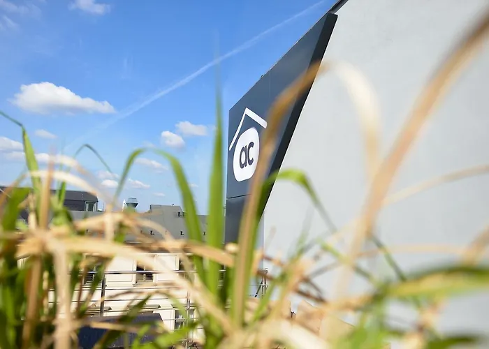 Апартаменты - Zoo